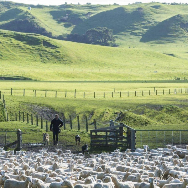 Top 10 Farm Vacations