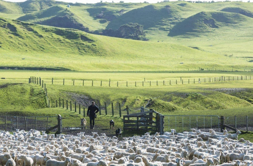 Top 10 Farm Vacations